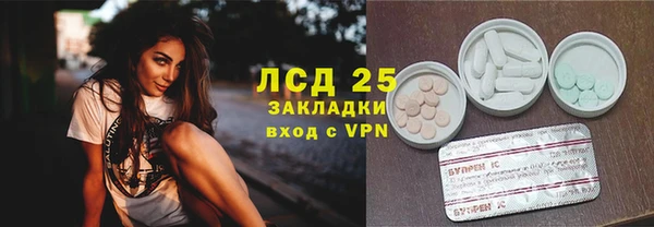 эйфоретик Арсеньев