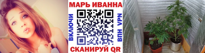 блэк спрут рабочий сайт  где можно купить наркотик  Белозерск  Шишки марихуана семена 